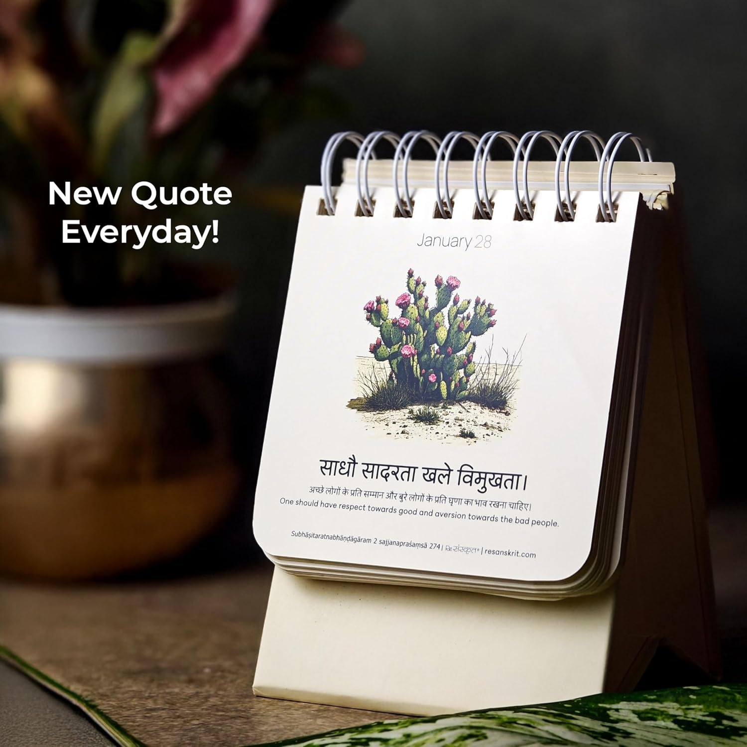 Tear-off Calendars — preview 11