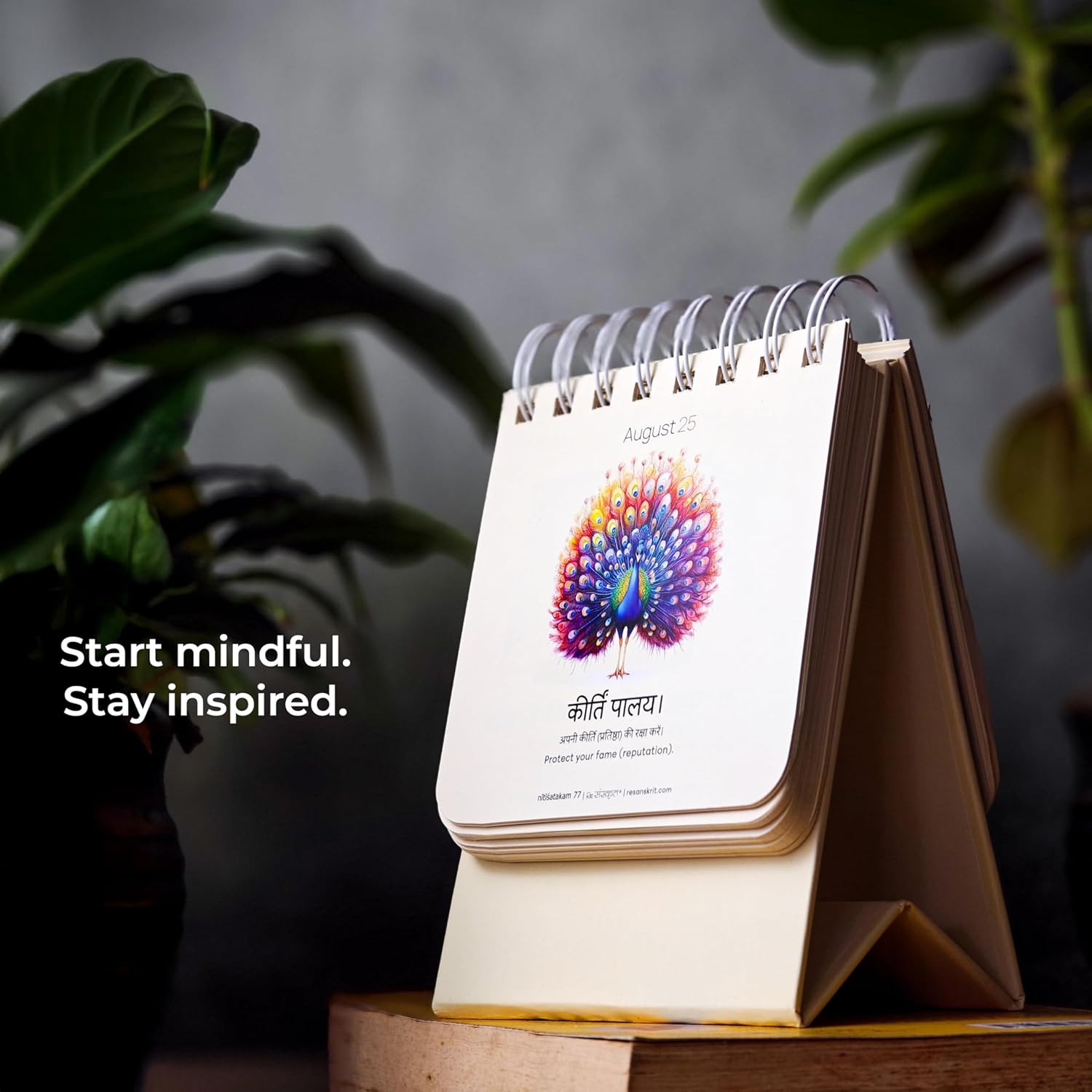 Tear-off Calendars — preview 12